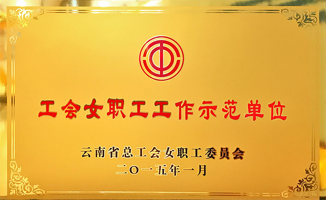 2015����Ůְ������ʾ����Ԫ