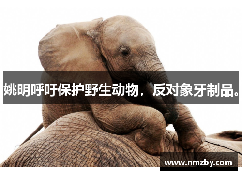 姚明呼吁保护野生动物，反对象牙制品。