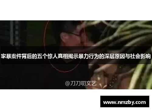 家暴案件背后的五个惊人真相揭示暴力行为的深层原因与社会影响