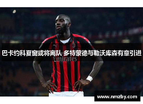 巴卡约科夏窗或将离队 多特蒙德与勒沃库森有意引进