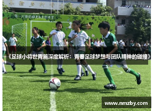 《足球小将世青篇深度解析：青春足球梦想与团队精神的碰撞》