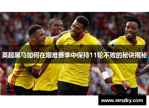 英超黑马如何在艰难赛季中保持11轮不败的秘诀揭秘 英超黑马如何在艰难赛季中保持11轮不败的秘诀揭秘