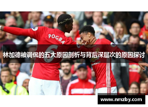 林加德被调侃的五大原因剖析与背后深层次的原因探讨